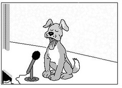 talking dog
