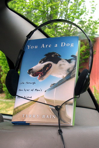You Are a Dog Listening by Terry Bain