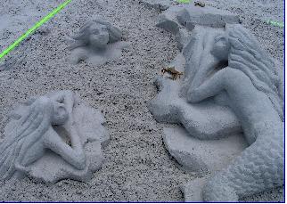Mermaids at Siesta key