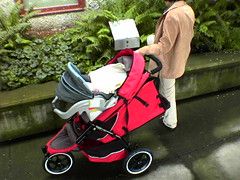 Phil and Ted's stroller