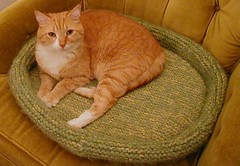 catbed0405