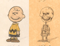 Cartoon Skeletons