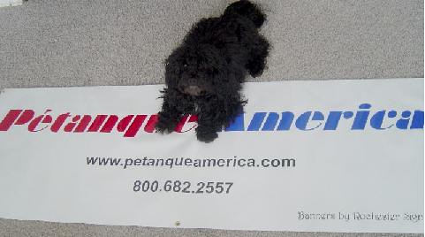 Petanque America Banner