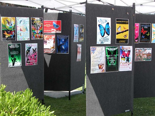 Butterfly Festival poster entries
