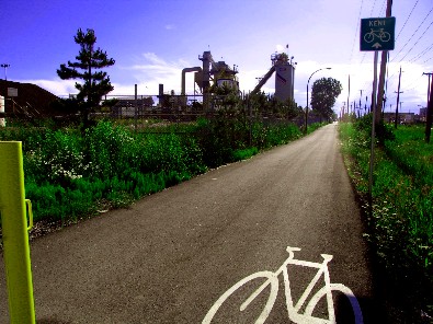 bike-wastelands-tld