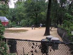 Large Dog Park, Washington Square Park, Manhattan, New York City