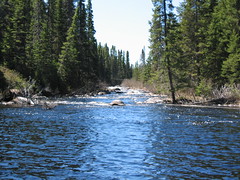 South Lake Inlet Stream