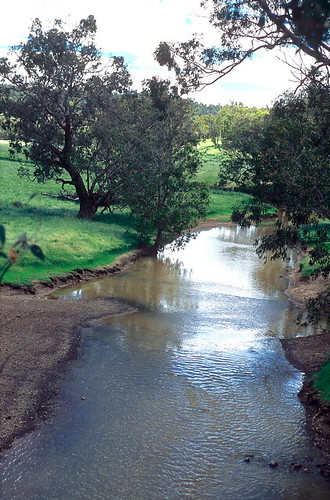 Mortlock River near Northam