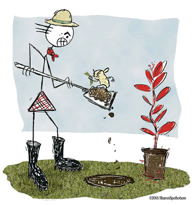 gardening-sharon-