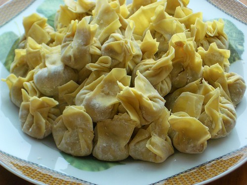 wontons in the raw